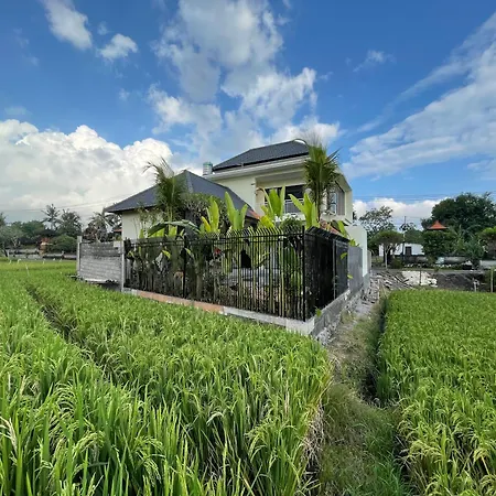 Danniel Luxury Villa Pererenan